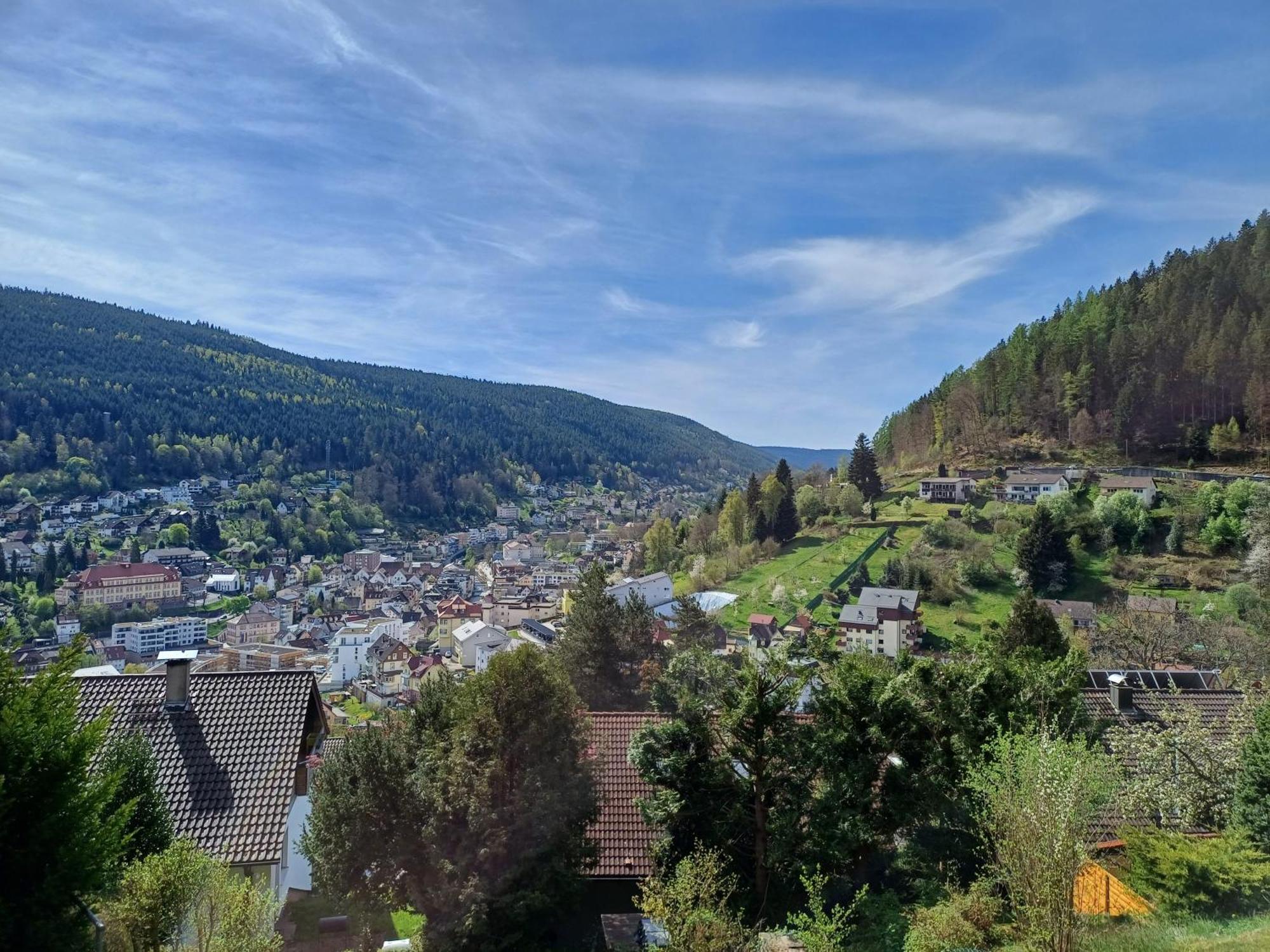Ferienwohnung Panoramablick Bad Wildbad Extérieur photo